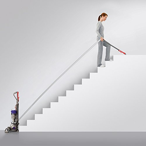 Dyson Dc65 Animal Upright Vacuum Cleaner