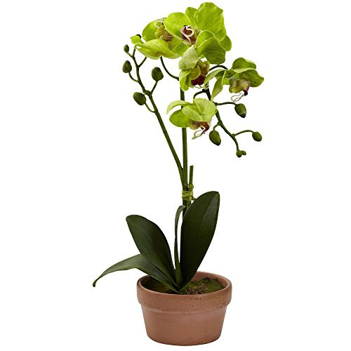 Nearly Natural Phalaenopsis Orchid With Clay Vase (Set Of 4)