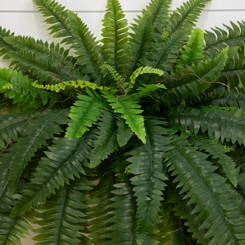 Nearly Natural 48-In Uv Resistant Artificial Boston Fern, Set Of 2, Large Hanging Fake Plant Wall Decor With 67 Fronds, Faux Fern Vines That Look Real For Home & Garden Decor, Outdoor Porch Decoration
