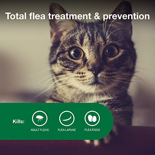 Advantage Ii Small Cat Vet-Recommended Flea Treatment & Prevention Cats 5-9 Lbs. 1-Month Supply
