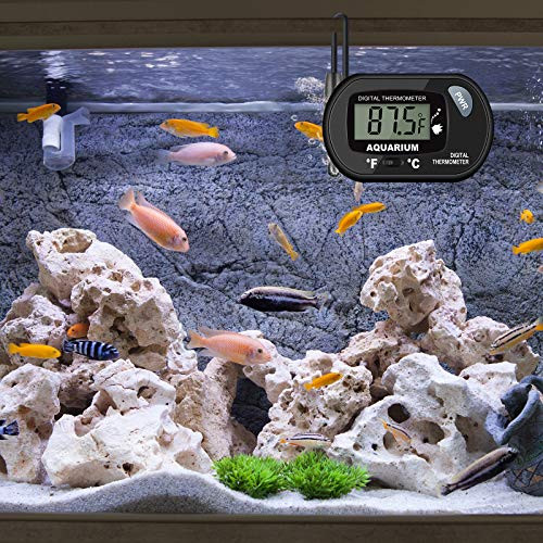 Aiktryee 2-Pack Aquarium Thermometer Fish Tank Thermometer Aiktryee Water Thermometer With 3.3Ft Cord Fahrenheit/Celsius(Ãƒ¢Ã‚‚¬Å½Ã¢‚¬°/Ãƒ¢Ã‚‚¬Å½Ã¦™) For Vehicle Reptile Terrarium Fish Tank Refrigerator.