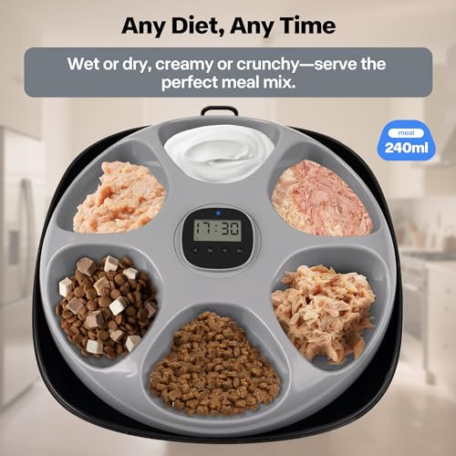 All For Paws Rechargeable Automatic Timer Cat Feeder Wet Food Auto Pet Food Dispenser For Small Dogs With Programmable Timer 8 Oz Per Meal 5+1 Meals Black