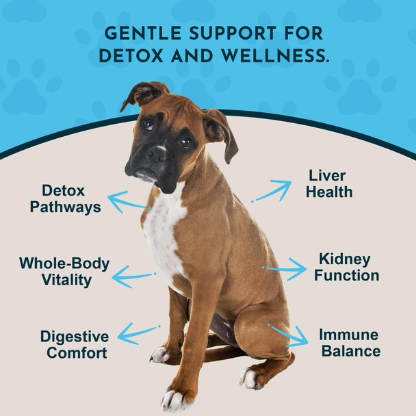 Animal Essentials Detox Blend - Liver Support For Dogs & Cats Herbal Liver Supplement Veterinarian Recommended Animal Wellness Tonics - 2 Fl Oz