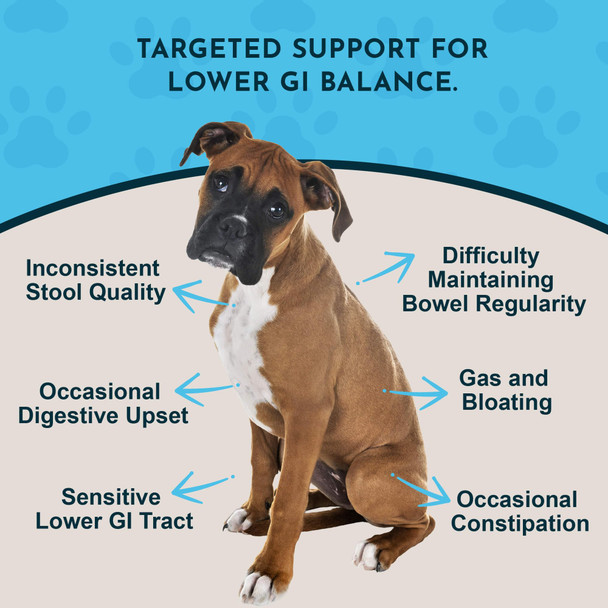 Animal Essentials Colon Rescue For Dogs & Cats - Constipation Relief Stool Softener With Slippery Elm Marshmallow Root Licorice Root - 1 Fl Oz