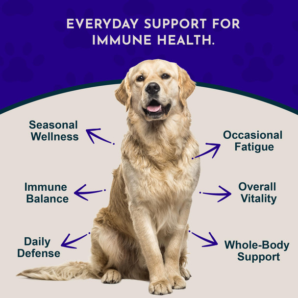 Animal Essentials Super Immune - Dog & Cat Immune Support For Puppies With Olive Leaf Extract & Eusacea Olive Root For Dogs Supports Respiratory Health & Overall Wellness - 1 Fl Oz