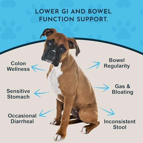 Animal Essentials Colon Rescue Powder - Herbal Digestive Aid For Dogs & Cats Phytomucil Healthy Gastrointestinal Tract Organic Herbs No Preservatives Glycerin-Based Formula - 1 Oz