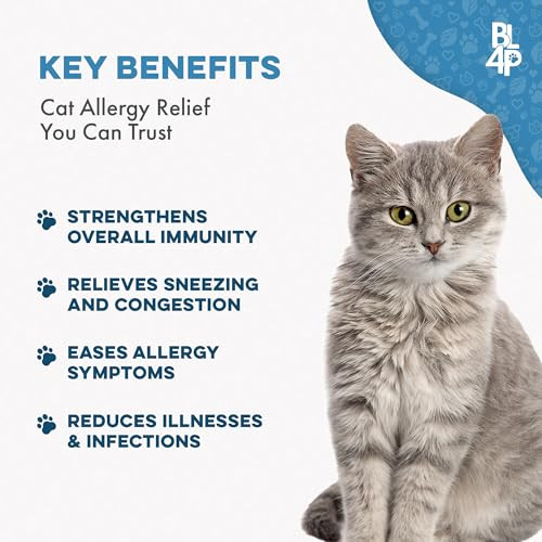 Bestlife4Pets Cat Allergy Relief & Immune Support Natural Relief For Seasonal Allergies Itching Sneezing Congestion Runny Nose And Feline Respiratory Infections 400 Small Odorless Tasteless Pills