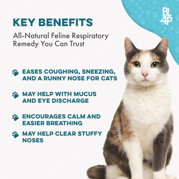Bestlife4Pets Cat Respiratory Comfort Supplement - Natural Breathe Easy Feline Support For All Seasons Coughing Occasional Nasal Stuffiness And Sneezing - 400 Odorless Easy-To-Administer Tasteless Pills