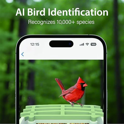 Billber Billber Bird Feeder With Camera - Outdoor Smart High-Definition Hummingbird Feeder Solar Panel & Night Vision Real-Time View & Instant Alerts Good Ideal S For Bird Watching Enthusiasts