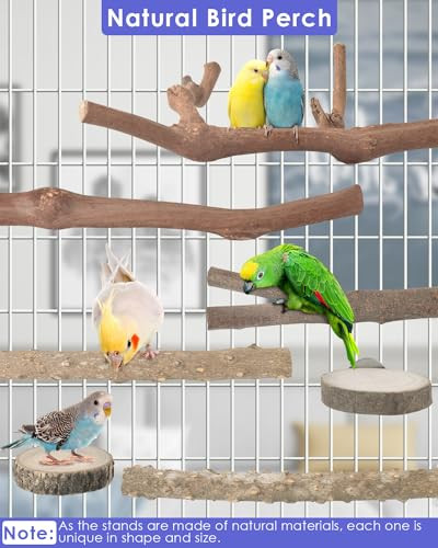 Bissap Bird Perch Stand 7Pcs Natural Grape Wood Pole Standing Parrot Cage Branch Paw Grinding Fork Parakeet Platform Hammock For Conures Budgies Finches Cockatiels Small Birds Exercise Training