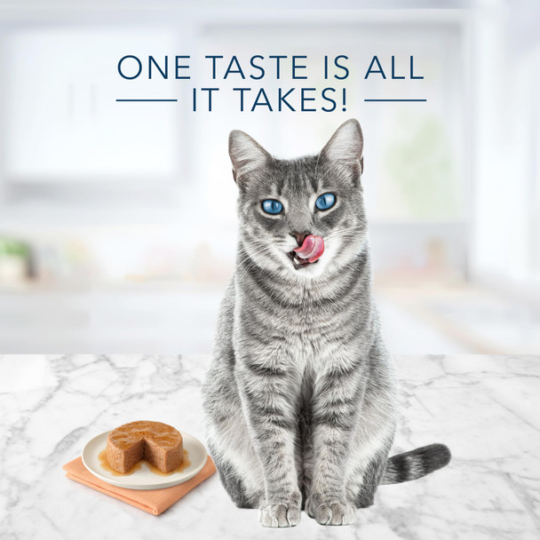 Blue Buffalo Tastefuls Wet Cat Food Patã£Æ’Ã¢© Made With Natural Ingredients Ocean Fish And Tuna Entrã£Æ’Ã¢©E 5.5-Oz Cans (24 Count)
