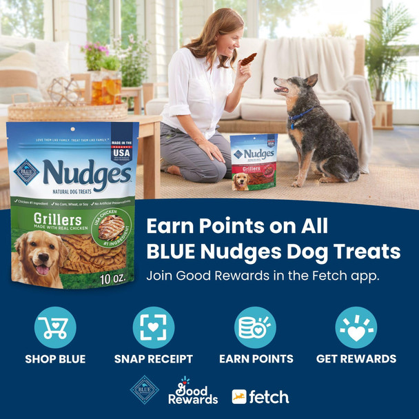 Blue Buffalo Nudges Jerky Bites Dog Treats Made In The Usa With Natural Ingredients Bite-Sized Pieces Chicken 16-Oz Bag