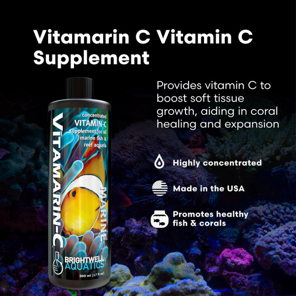 Brightwell Aquatics Vitamarin-C Ãƒ¢Ã‚Š¬Ã‚‚¬Å’ Concentrated Vitamin C Supplement For Corals Fish & Invertebrates Ãƒ¢Ã‚Š¬Ã‚‚¬Å’ Supports Growth & Immune Health Ãƒ¢Ã‚Š¬Ã‚‚¬Å’ No Phosphates 125 Ml