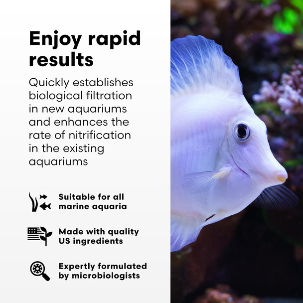 Brightwell Aquatics Microbacter Start Xlm - Concentrated Freshwater Nitrifying Bacteria - Quick Start Fish Tank Starter Lift Microbe Levels & Water Filtering - Aquarium Water Treatments 33.8 Fl Oz