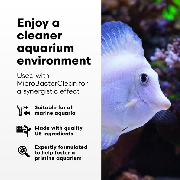 Brightwell Aquatics - Razor Marine - Unique Systemic Fish Tank Cleaner For Marine Aquariums - Aquarium Water Treatments 16.9 Fl Oz
