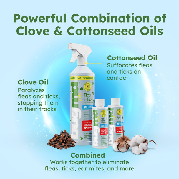 Bugmd Flea And Tick Concentrate (3.7 Oz 2 Pack) Ãƒ¢Ã‚Š¬Ã‚‚¬Å’ Essential Oil Formula For Dogs Controls Fleas Ticks & Mites Safe For Pet Beds Kennels & Home Use