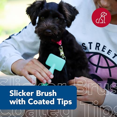 Coastal Pet Li'L Pals Dog Slicker Brush With Coated Tips - Dog Grooming Brush For Small Breeds & Puppies - One Size (3.25Ãƒ¢Ã‚Š¬Ã‚ X 7.25Ãƒ¢Ã‚Š¬Ã‚)