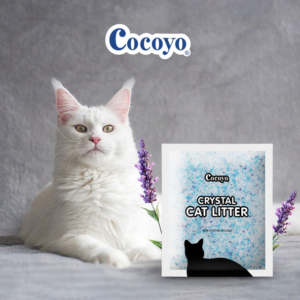 Cocoyo Crystal Cat Litter I Silica Gel Cat Litter17.2 Lbs Value Pack (4.3 Lbs X 4)
