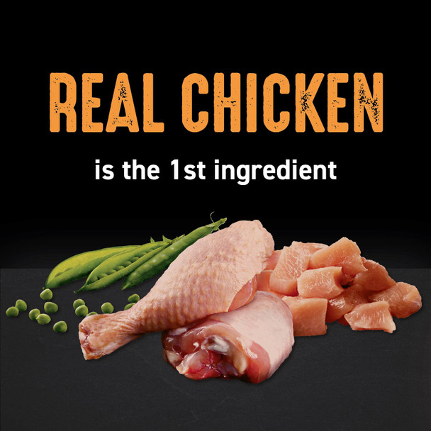 Crave Grain Indoor Adult High Protein Natural Dry Cat Food With Protein From Chicken & Salmon 2 Lb. Bag