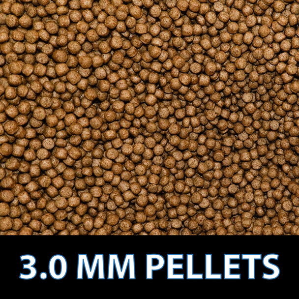 Crystalclear Staple Pond Fish Food For Healthy Koi & Goldfish Protein Packed Floating Pellets For Summer Nutrition Easy Digestion 2.2 Pound Bag