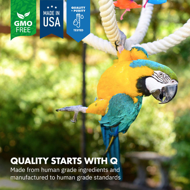 Equa Holistics Healthygutã£¢Ã‚‚¬Å½Ã¢¢ Avian Probiotics Dietary Supplement For Parrots All-Natural Digestive System Formula (120 Servings)