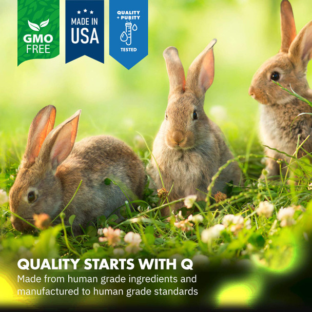 Equa Holistics Healthygut Probiotics For Rabbits Dietary Supplement All-Natural Digestive System Formula (120 Servings)