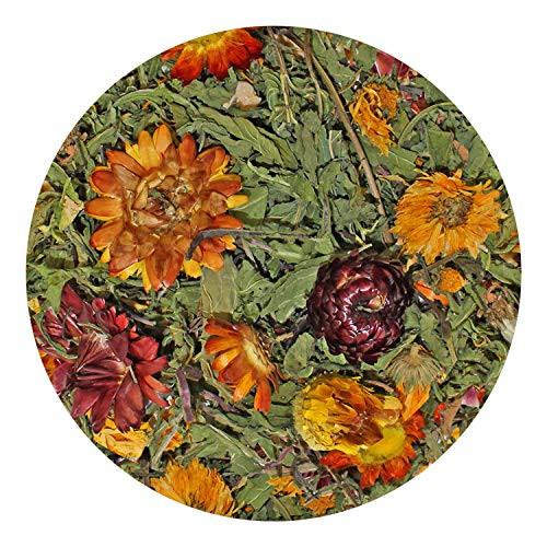 Exotic Nutrition Pasture Plus+ Dandelion Delicacy - Healthy Natural High-Fiber Dried Flower Treat - Guinea Pigs Rabbits Chinchillas Prairie Dogs Degus Hamsters Gerbils & Other Small Pets