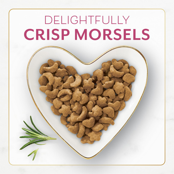 Fancy Feast Fancy Feast Purina Filet Mignon Flavor With Real Seafood & Shrimp Dry Cat Food (7 Ounce (Pack Of 1))