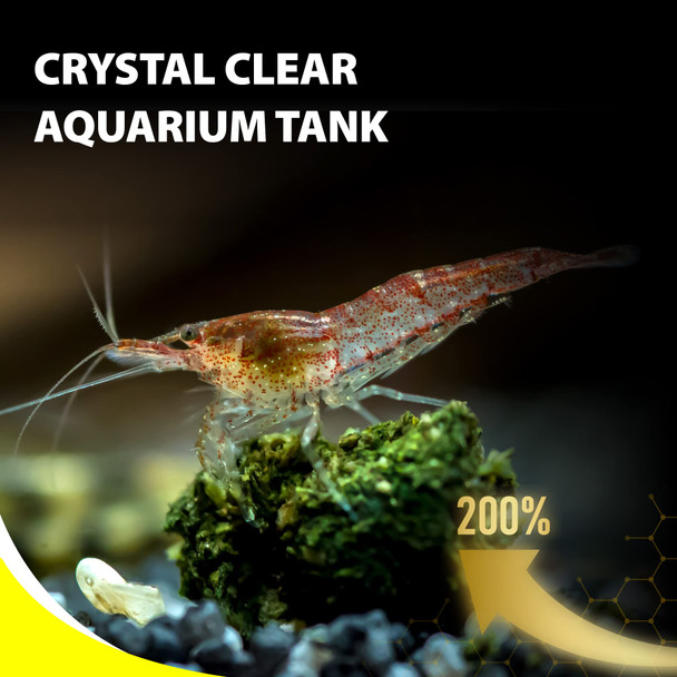 Good Partner Purify Series For Algae Wafers Pleco Food Spirulina Fish Food For Snails Plecos Algae Eaters And Bottom Feeders Color Enhancing All Natural Ingredients 2.82Oz (Pack Of 1)