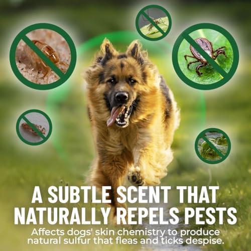 Guardian'S Choice Flea And Tick Chewable Pills - No Harsh Chemicals - 100 Chicken Flavored Treats - Guardian'S Choice Pets Brand - Tasty Chews Flea Pills Dogs Love
