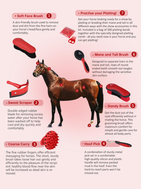 Harrison Howard 7 Pieces Horse Grooming Kit Horse Bathing Supplies Brushes For Grooming With Convenient Organizer Tote Purple