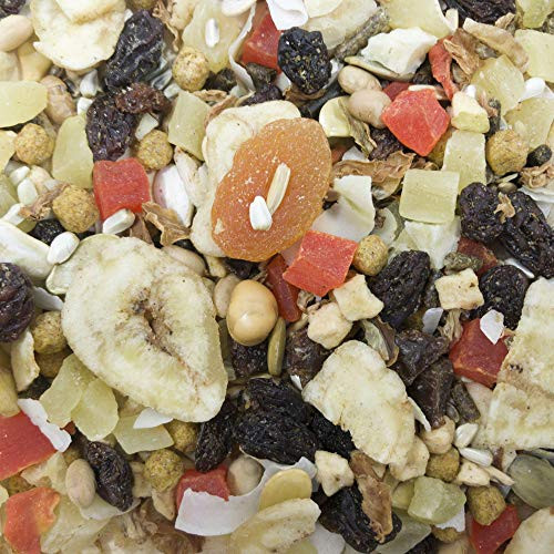 Higgins 3 Pack Of Sunburst Gourmet Natural Bird Treats 5 Ounces Each Fruits And Veggies Flavor For Conures Parrots And Macaws