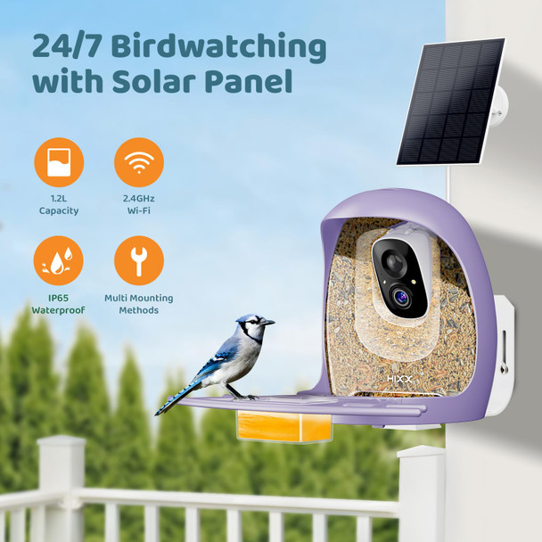 Hixx Smart Bird Feeder With Camera Ai Identify Birds & Auto Capture 2K Hd Live Camera Birdwatching With Color Night Vision For Bird Lovers S (Purple)