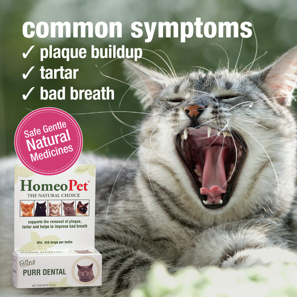 Homeopet Feline Purr Dental Safe And Natural Tooth And Dental Care For Cats 15 Milliliters