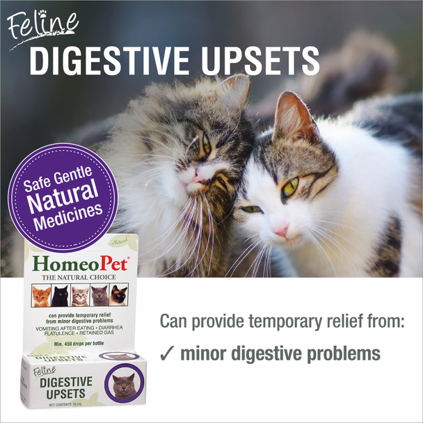 Homeopet Feline Digestive Upsets Safe And Natural Cat Digestive Support 15 Milliliters