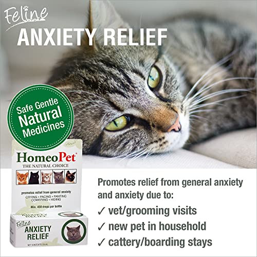 Homeopet Feline Anxiety Relief Natural Stress And Anxiety Support Anxiety Supplement For Cats 15 Milliliters