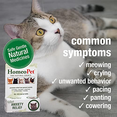 Homeopet Feline Anxiety Relief Natural Stress And Anxiety Support Anxiety Supplement For Cats 15 Milliliters