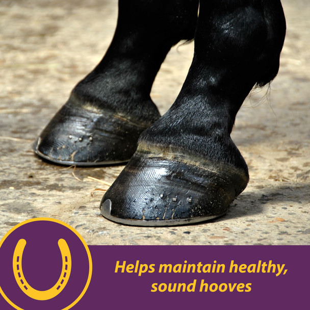 Horse Health Vita Biotin Crumbles Horse Hoof Supplement Helps Maintain Healthy Sound Hooves And Strong Hoof Walls 3 Lbs. 48 Day Supply