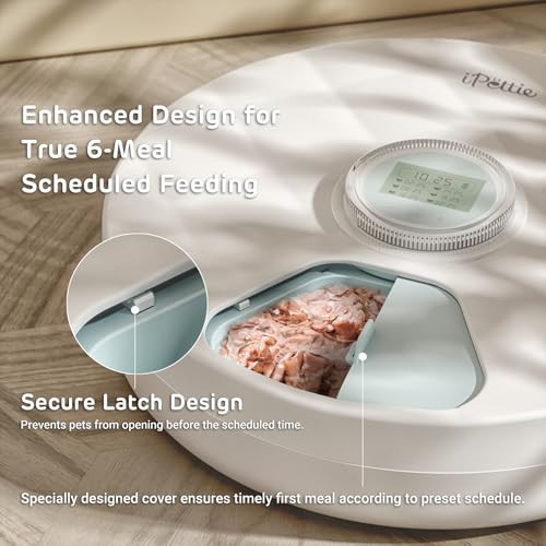 Ipettie Brioche Automatic Wet Food Feeder For Pets - Cordless Fresh Can Dispenser With Two Ice Packs And Bpa- Abs Food Tray