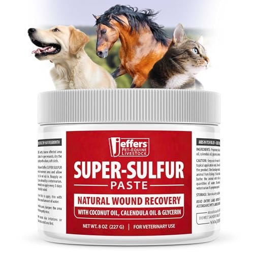 Jeffers Super Sulfur Healing Paste Ãƒ¢Ã‚Š¬Ã‚‚¬Å’ Natural Skin & Wound Care For Horses Dogs Cats & Livestock Ãƒ¢Ã‚Š¬Ã‚‚¬Å’ Soothing Sulfur Based Formula With Calendula Bentonite Clay & Coconut Oil Ãƒ¢Ã‚Š¬Ã‚‚¬Å’ 8 Oz