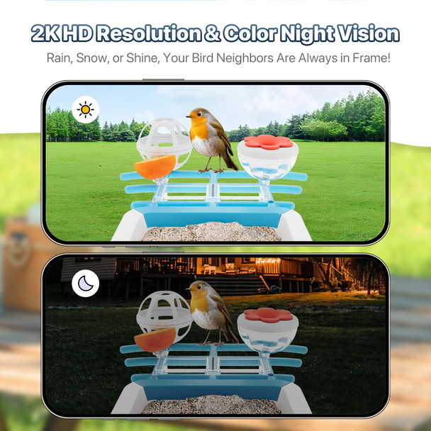 Juzjuly Smart Bird Feeder With Camera - Solar Powered Birdfeeder Cam 2K Hd Ai Smart Identify Bird Species Instant Arrival Alertsã£¯Ã‚¼Ã…™Auto Record Birdvideo Two-Way Audio For Birds Lover