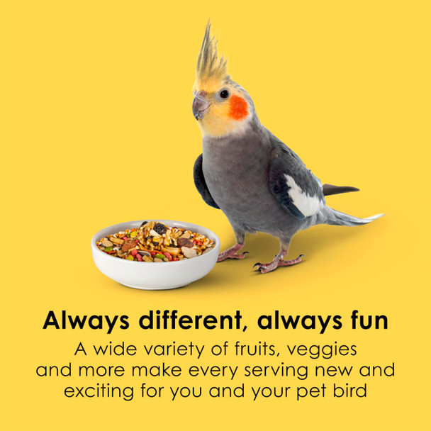 Kaytee Fiesta Cockatiel Food Nutritious And Fun Blend Supports Skin Feather Digestion Brain And Heart Health 4.5 Pounds