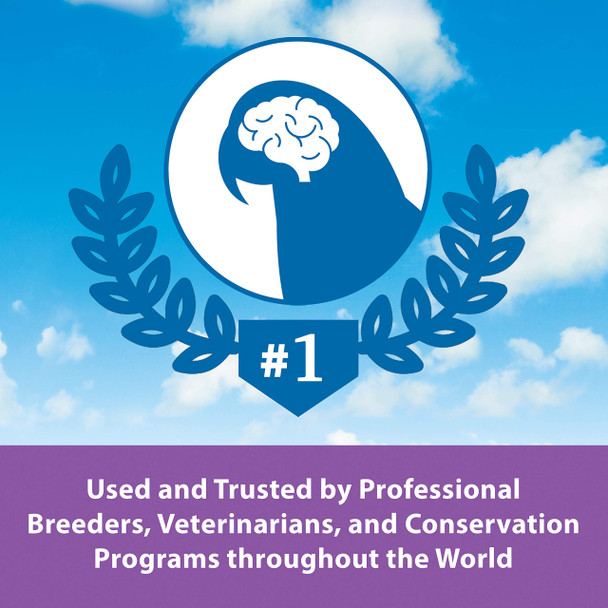 Kaytee Exact Hand Feeding Pet Bird Baby Food For Parrots Parakeets Lovebirds Cockatiels Conures Cockatoos And Macaws 5 Pound