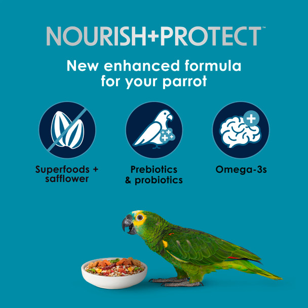 Kaytee Forti-Diet Pro Health+Safflower Nourish+Protect Parrot Food Supports Breeding And Molting Nutrition Backed By Science Digestive And Brain Health 4 Pounds