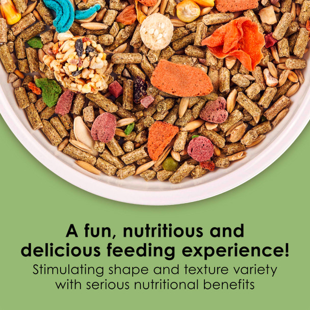 Kaytee Fiesta Guinea Pig Food Nutritious And Fun Blend Supports Dental Health And Digestion 4.5 Pounds