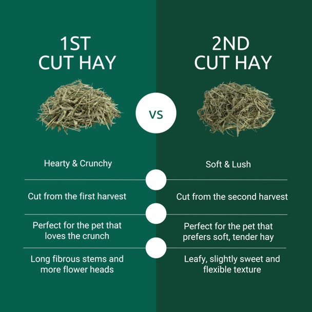 Kaytee First Cut Timothy Hay High Fiber Grown Specifically For Small Animals Rabbits Guinea Pigs Chinchillas 6.5 Pounds