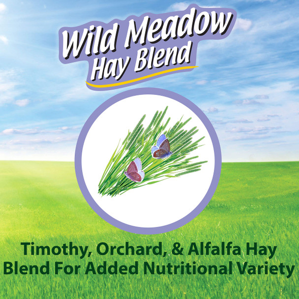 Kaytee All Natural Timothy Hay Wild Meadow Hay Blend For Guinea Pigs Rabbits & Other Small Animals 24 Ounce