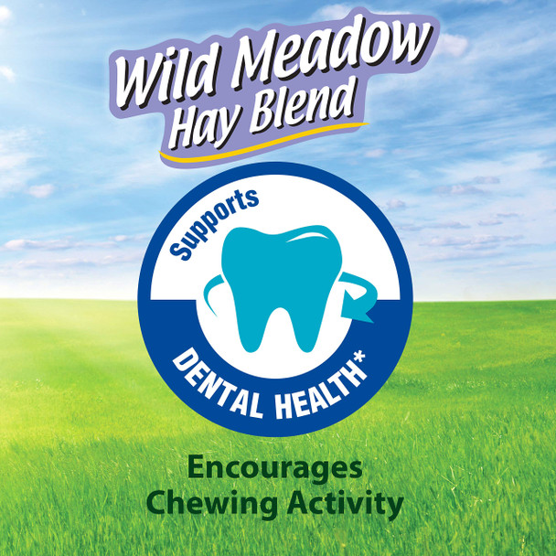 Kaytee All Natural Timothy Hay Wild Meadow Hay Blend For Guinea Pigs Rabbits & Other Small Animals 24 Ounce