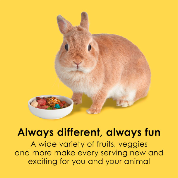 Kaytee Fiesta Rabbit Food Nutritious And Fun Blend Supports Dental Health And Digestion 6.5 Pounds