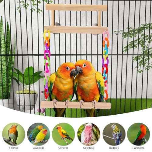 Kyouki Bird Perch Bird Cage Accessories Platform Swing - For ParrotParakeetBudgies Cockatiels Lovebirds Pacific ParrotletsChinchilla Hamster - Sturdy Play Gym Exercise Stand